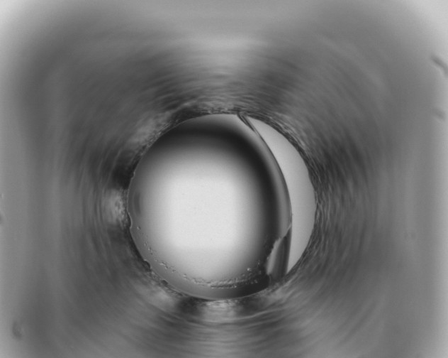 X0000095900335200801251229