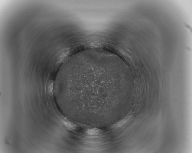 X0000095900336200801251229