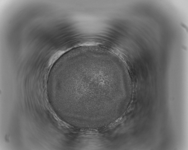 X0000095900337200801251229