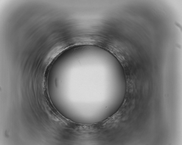 X0000095900338200801251229