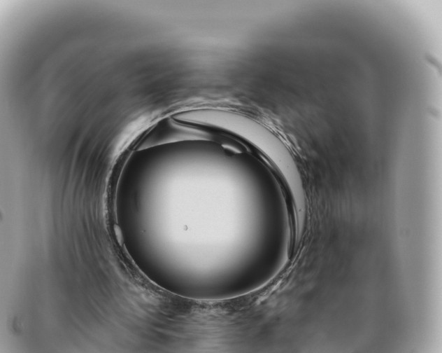 X0000095900340200801251229