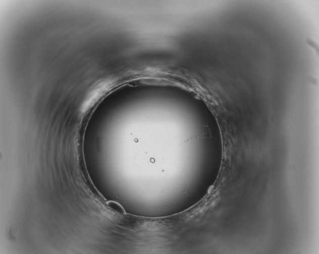 X0000095900341200801251229