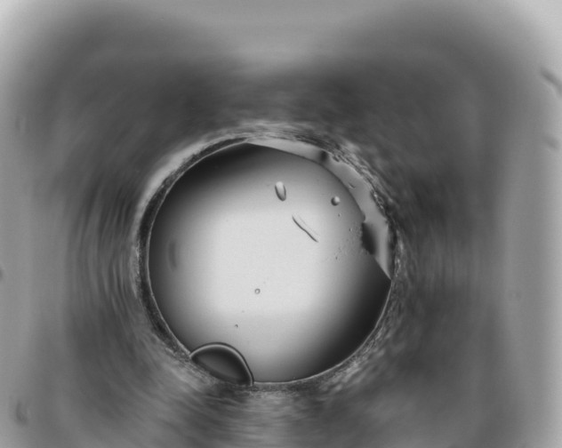 X0000095900342200801251229