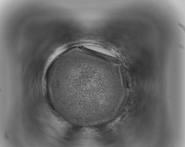 X0000095900343200801251229