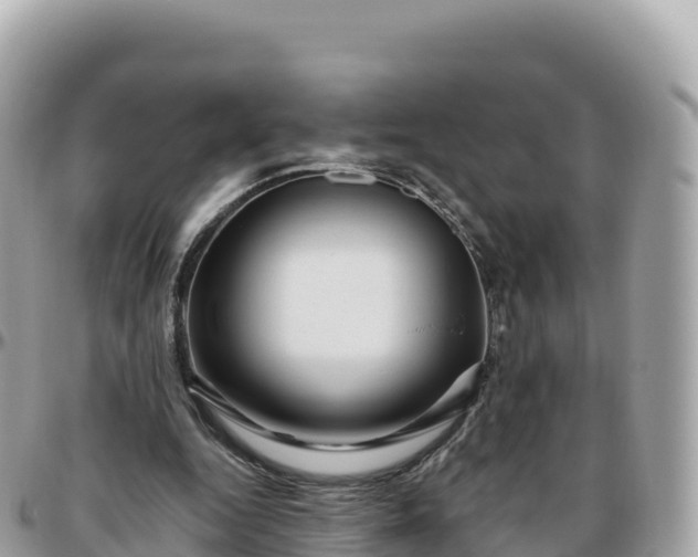 X0000095900344200801251229