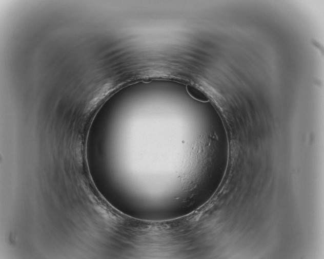 X0000095900345200801251229