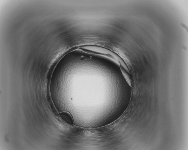 X0000095900346200801251229