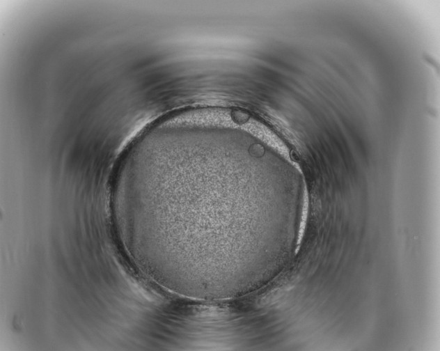 X0000095900347200801251229