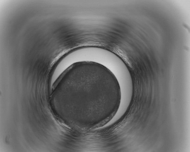 X0000095900348200801251229