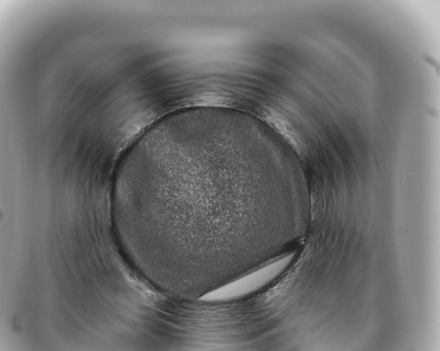 X0000095900349200801251229