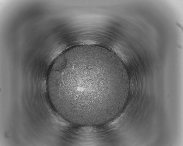 X0000095900351200801251229