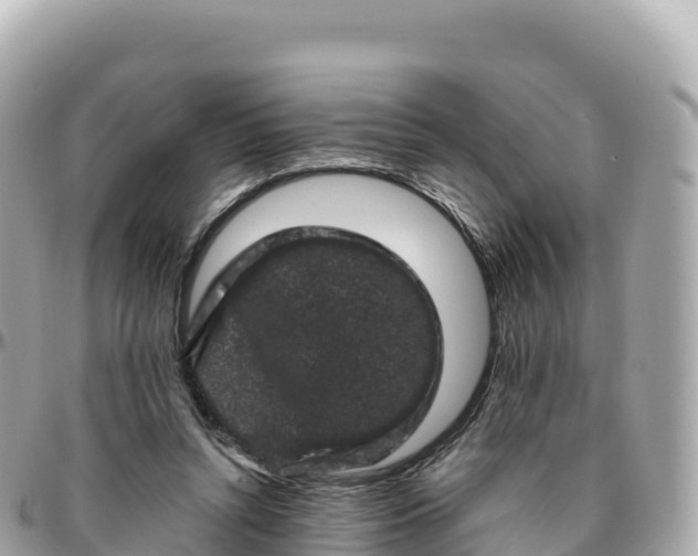 X0000095900352200801251229