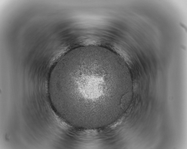 X0000095900353200801251229