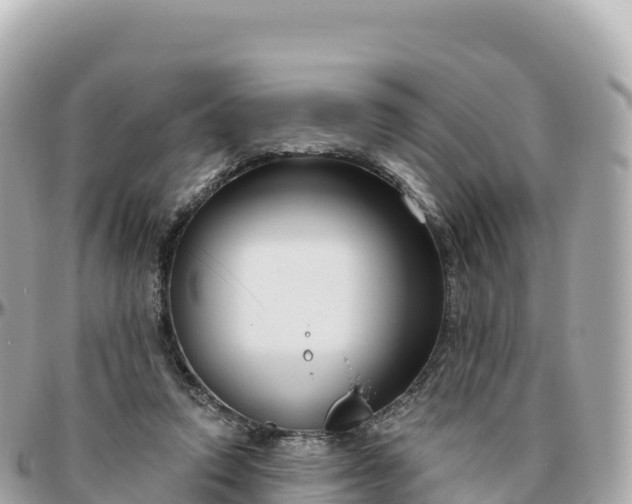 X0000095900354200801251229