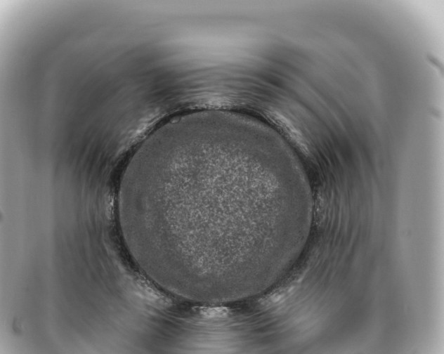 X0000095900355200801251229