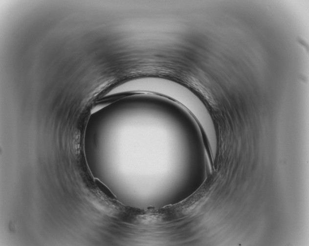 X0000095900356200801251229