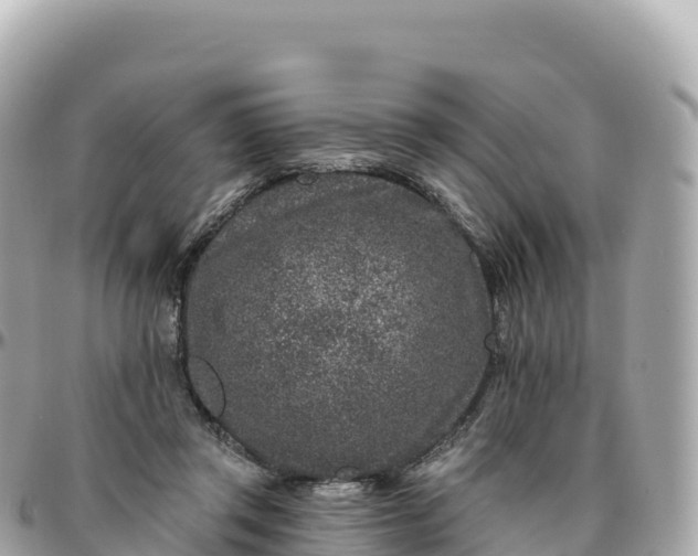 X0000095900357200801251229