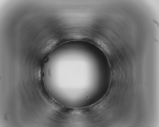 X0000095900358200801251229