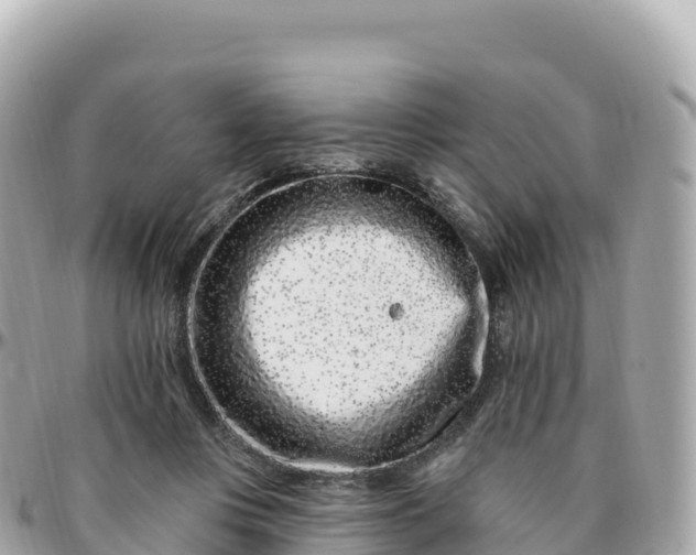 X0000095900359200801251229