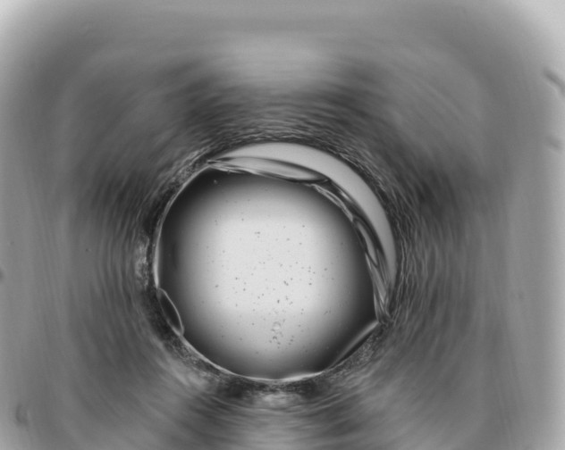 X0000095900360200801251229