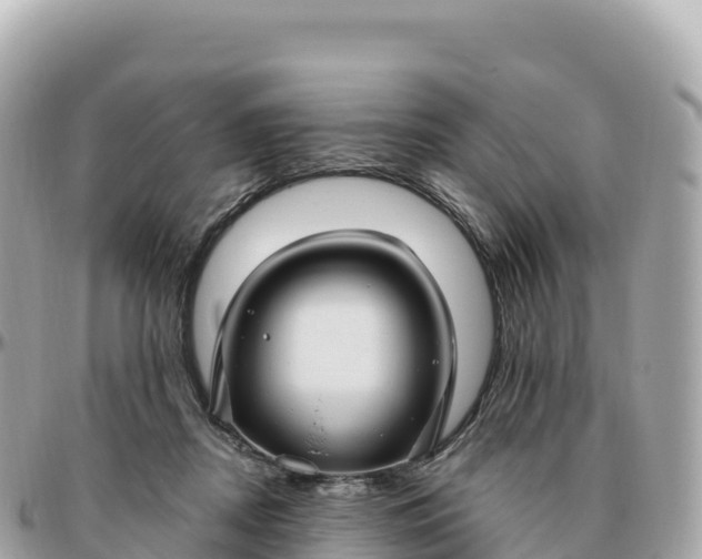 X0000095900362200801251229