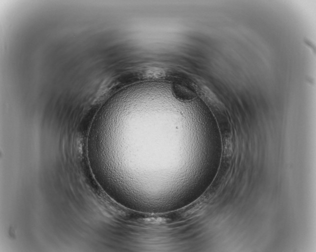 X0000095900363200801251229