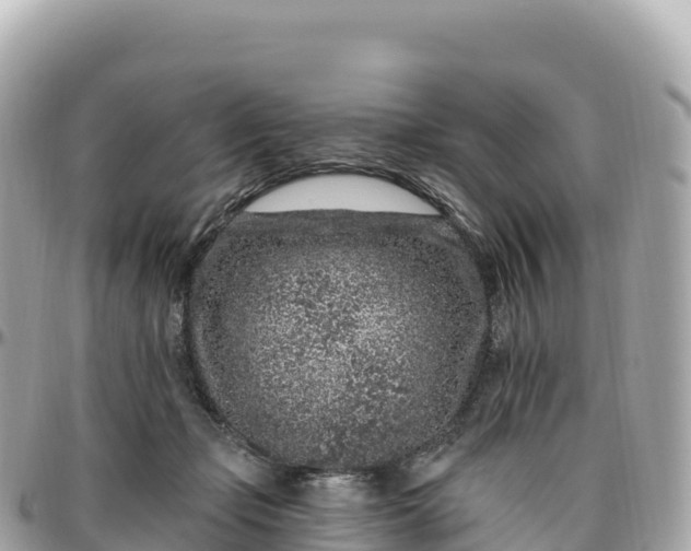 X0000095900365200801251229