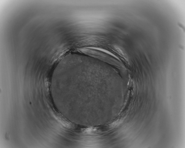 X0000095900366200801251229