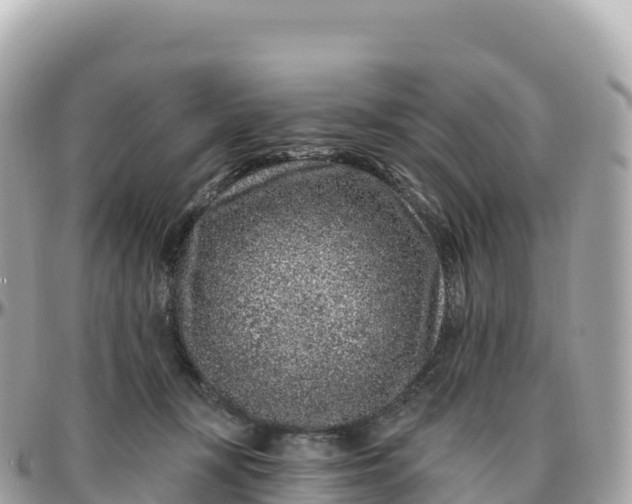 X0000095900367200801251229