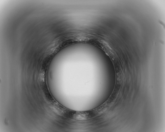 X0000095900368200801251229