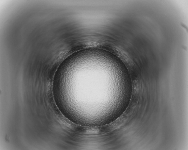 X0000095900369200801251229