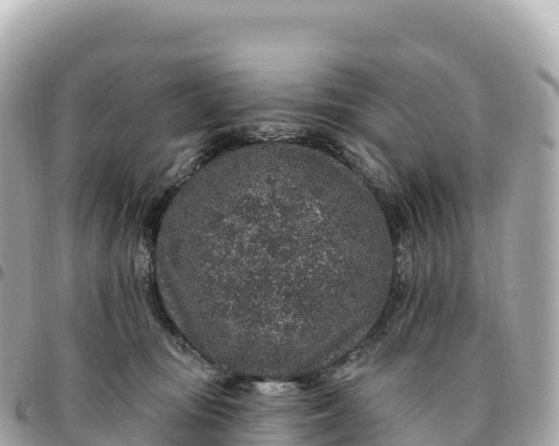 X0000095900371200801251229