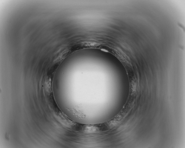 X0000095900376200801251229