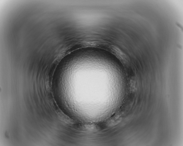 X0000095900377200801251229