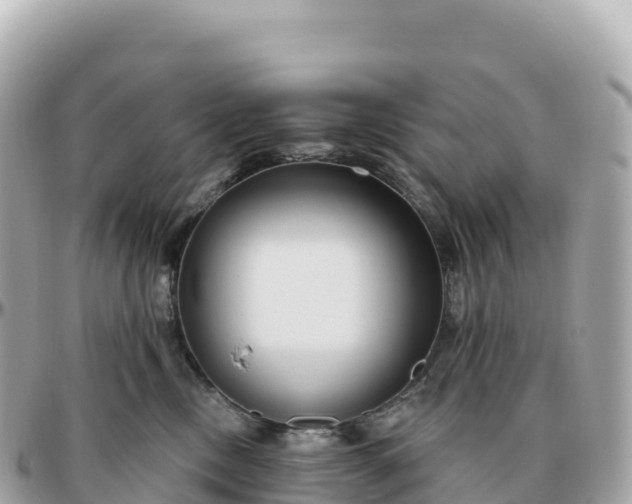 X0000095900378200801251229