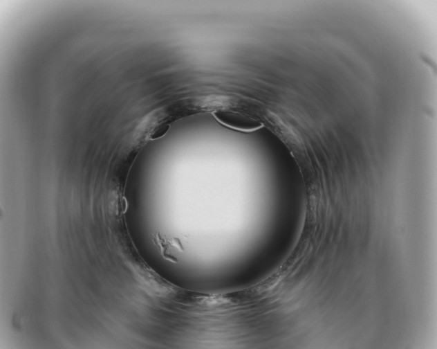 X0000095900379200801251229