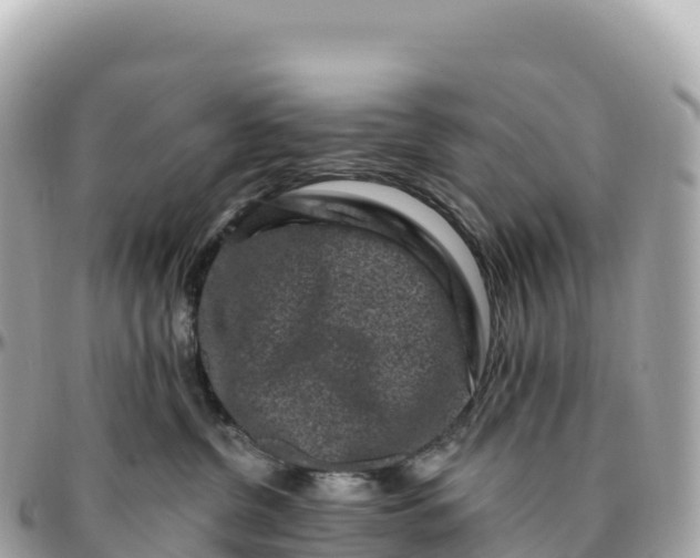 X0000095900380200801251229