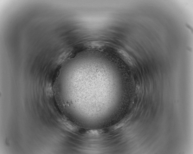 X0000095900381200801251229