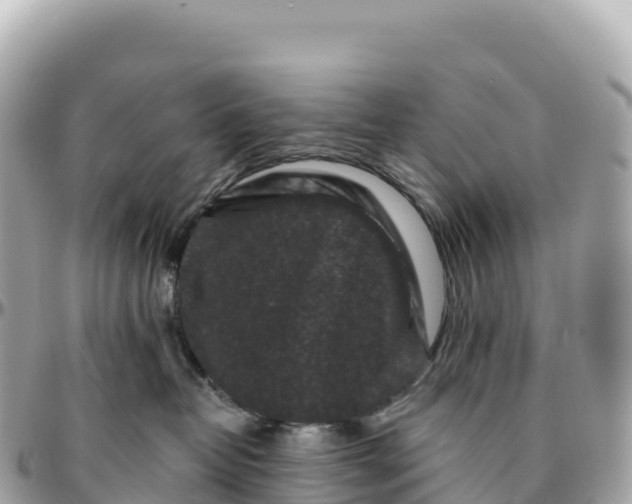 X0000095900382200801251229