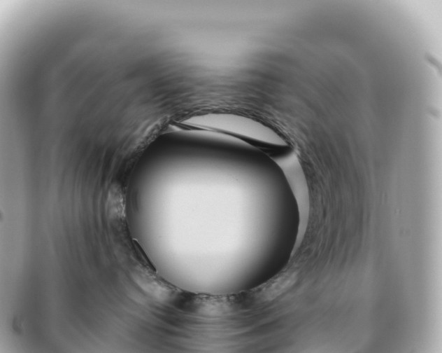 X0000095900384200801251229