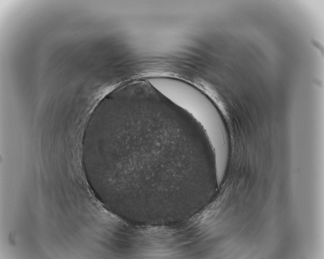 X0000095900385200801251229