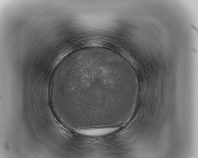 X0000095900386200801251229