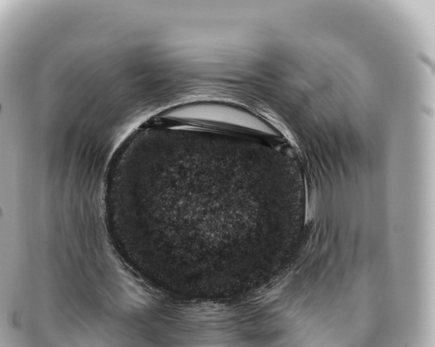 X0000095900387200801251229