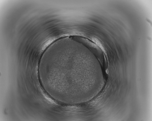 X0000095900389200801251229