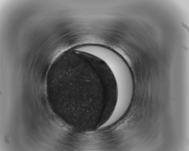 X0000095900391200801251229