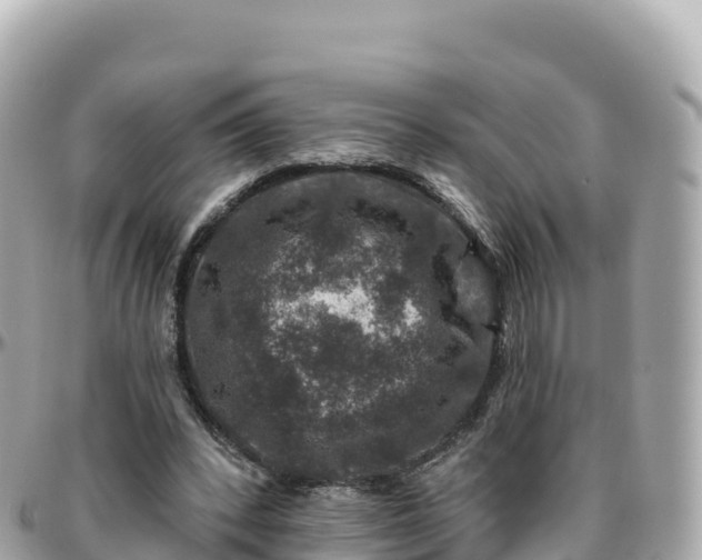 X0000095900392200801251229