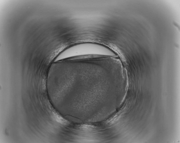 X0000095900393200801251229