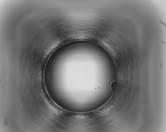 X0000095900394200801251229