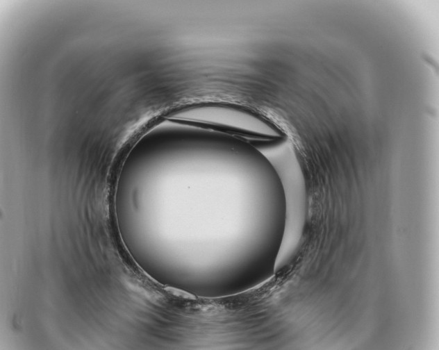 X0000095900395200801251229