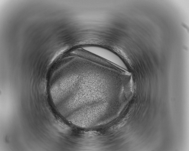 X0000095900396200801251229